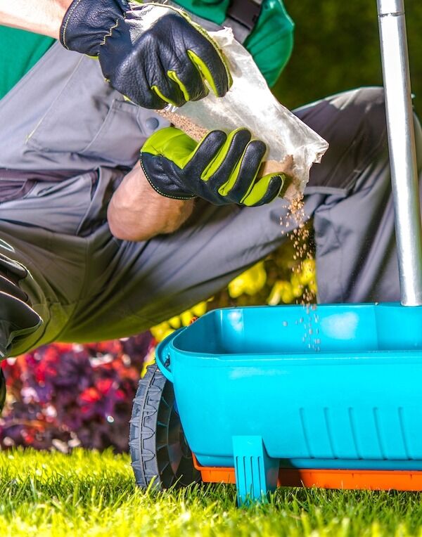 Fertilizer Myrtle Beach SC